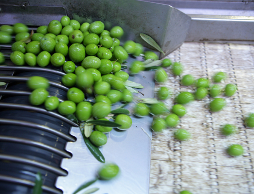 Gaea Products Worldwide